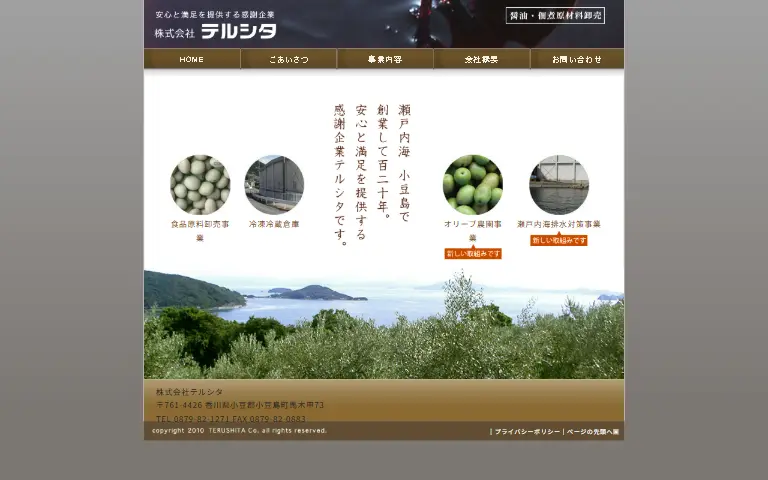 株式会社テルシタの公式サイトのトップページ